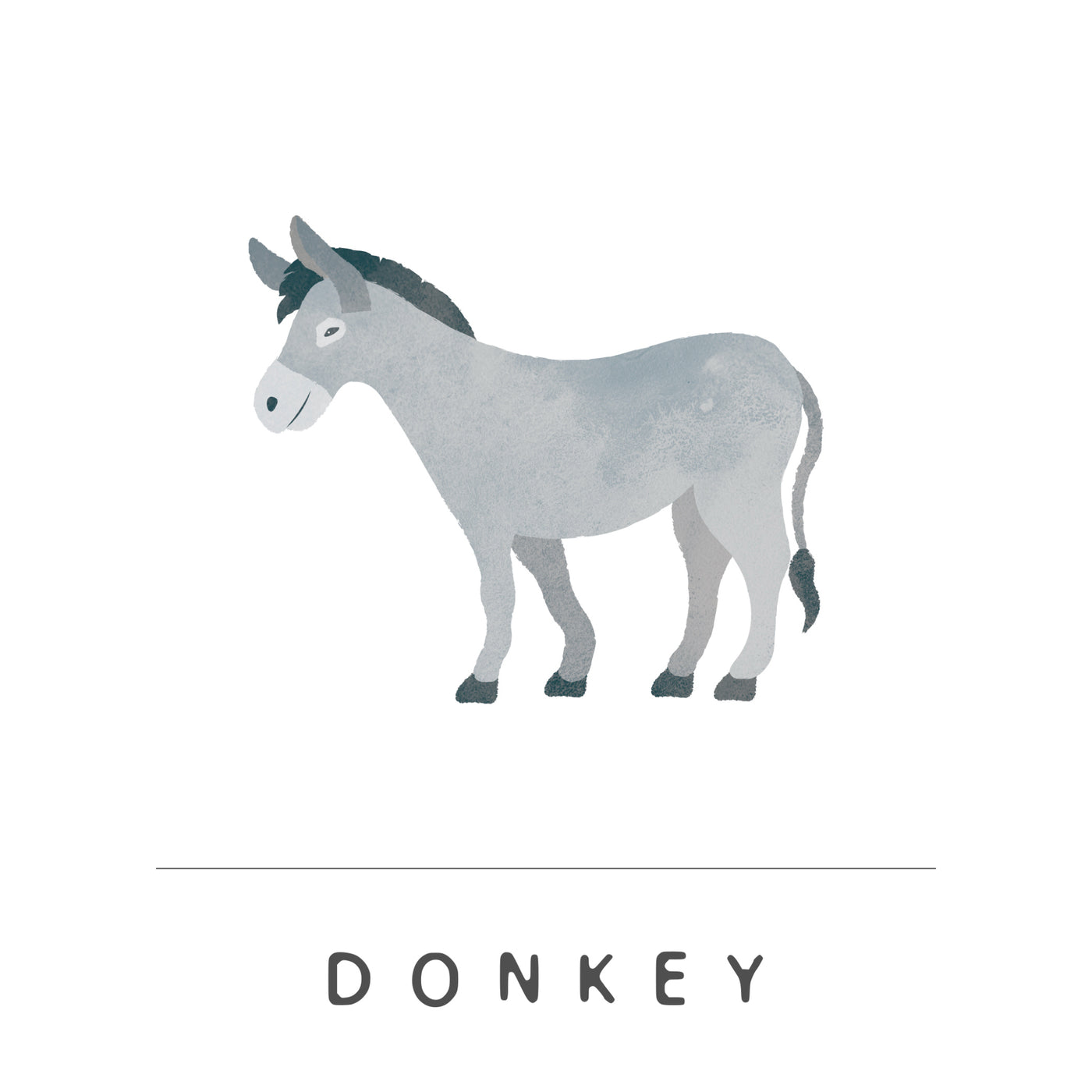 Donkey