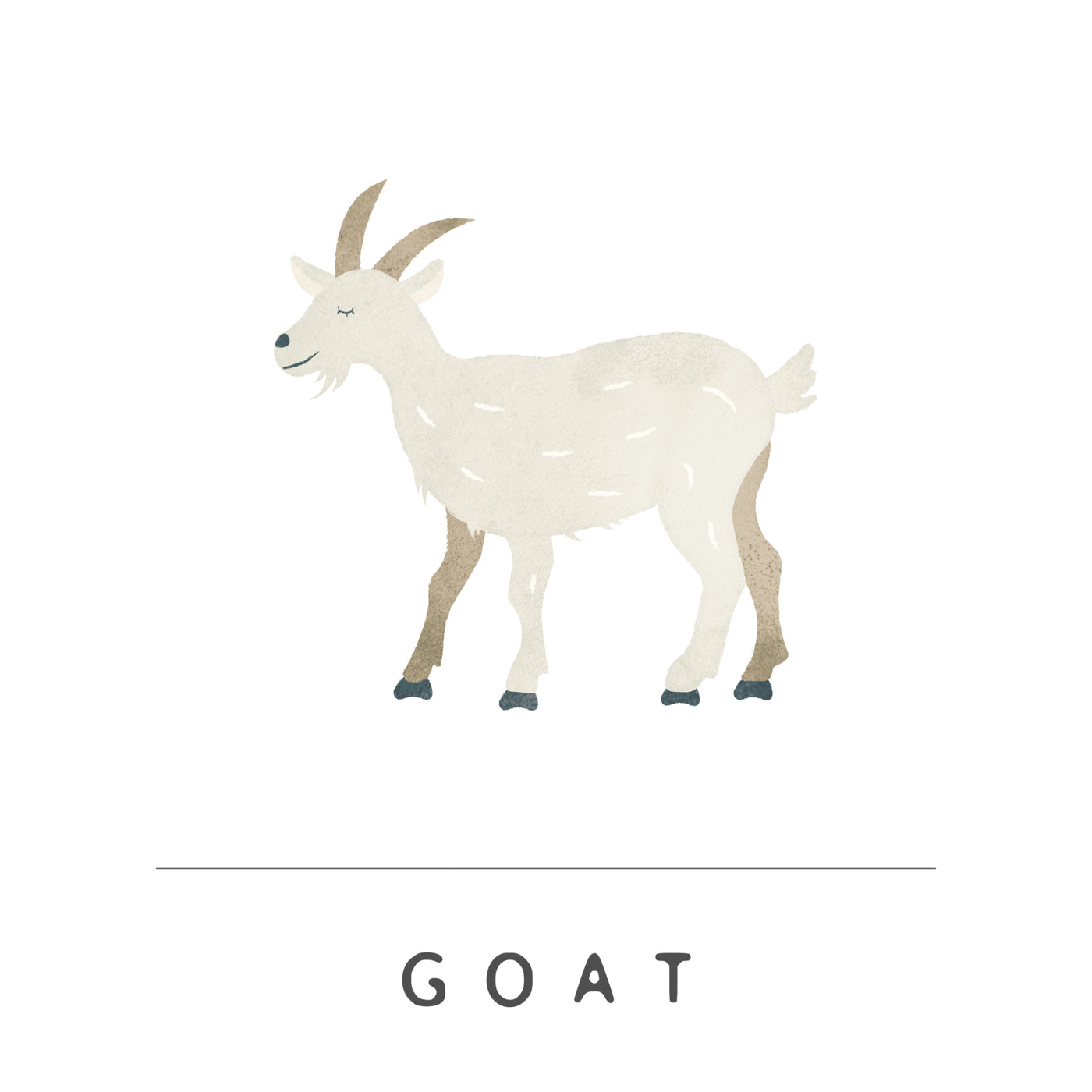 Goat