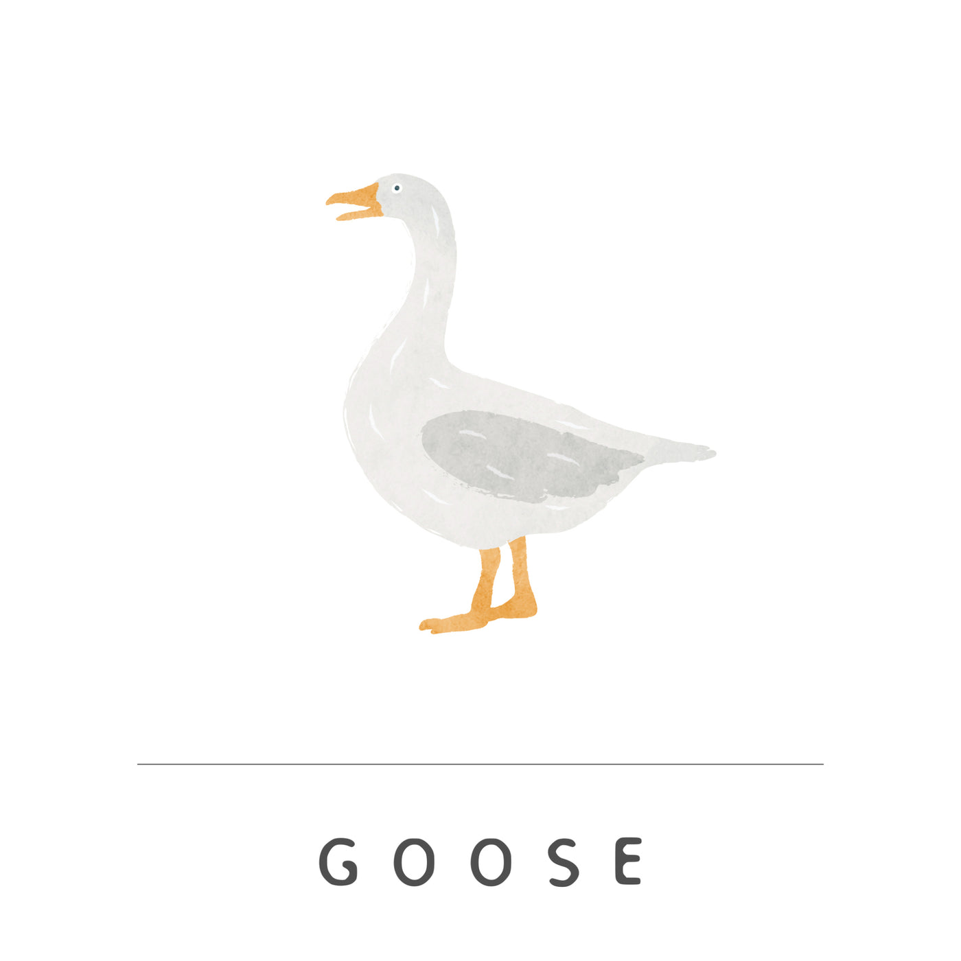 Goose