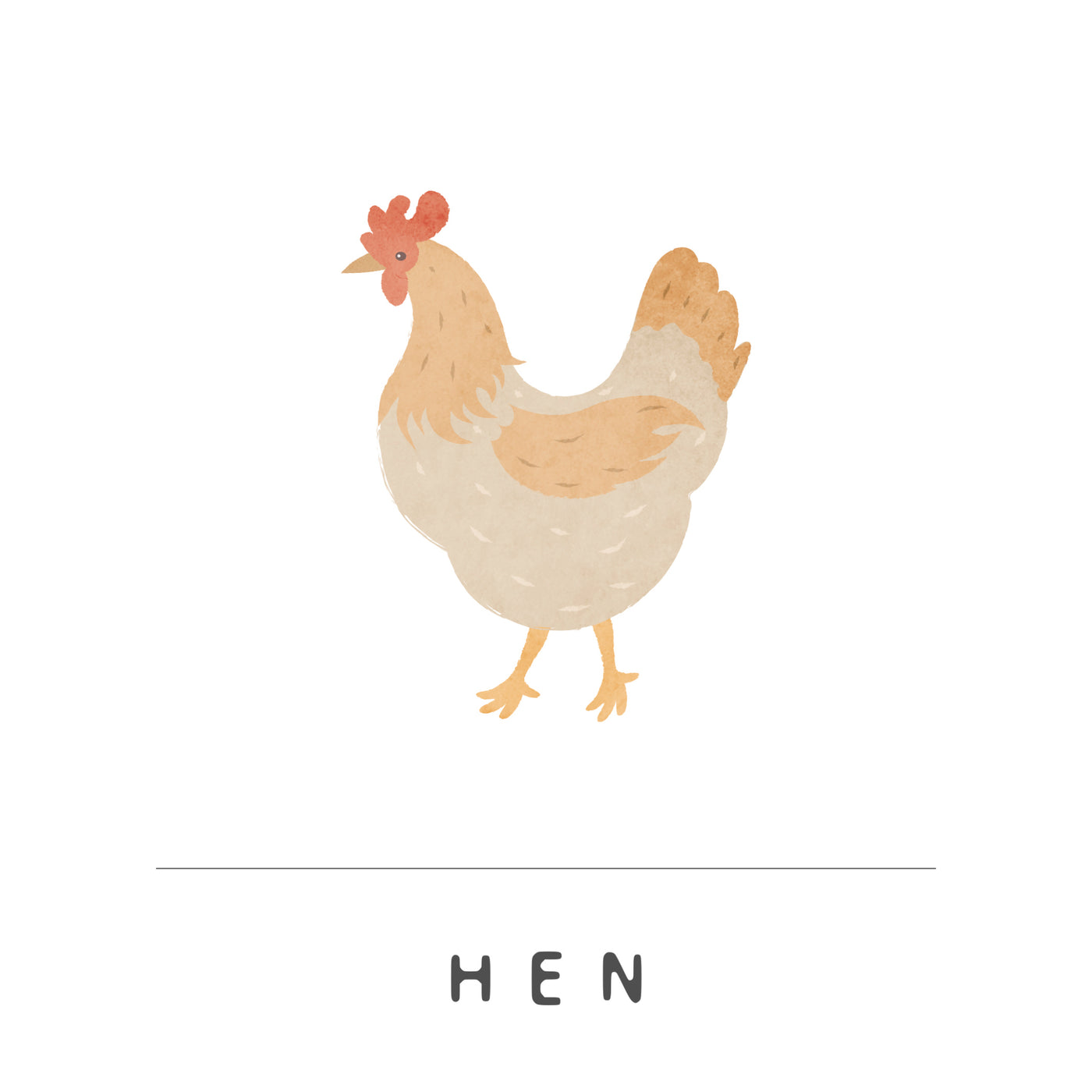 Hen