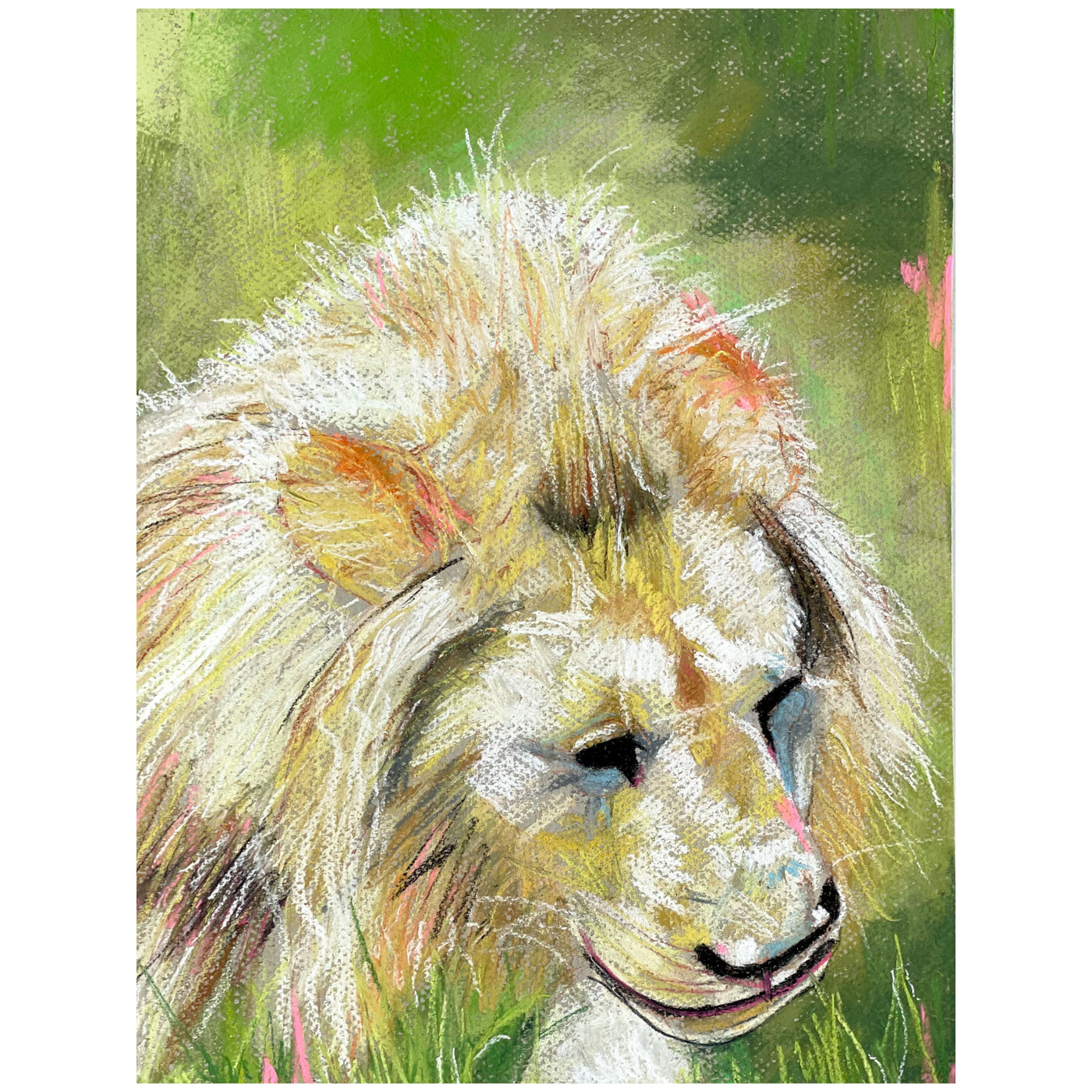 Lion - Leopold