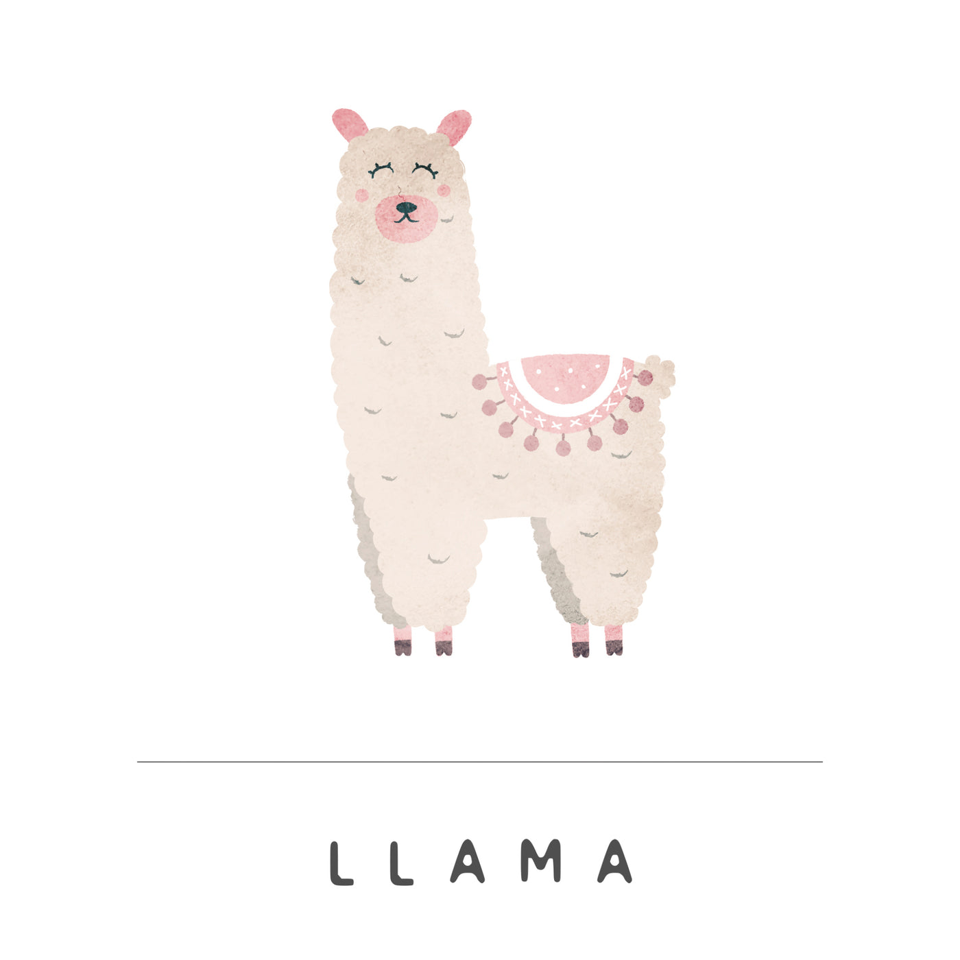 Llama