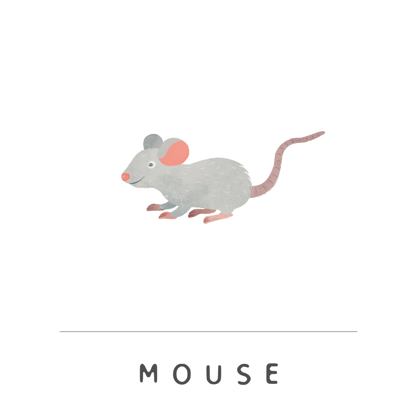 Mouse