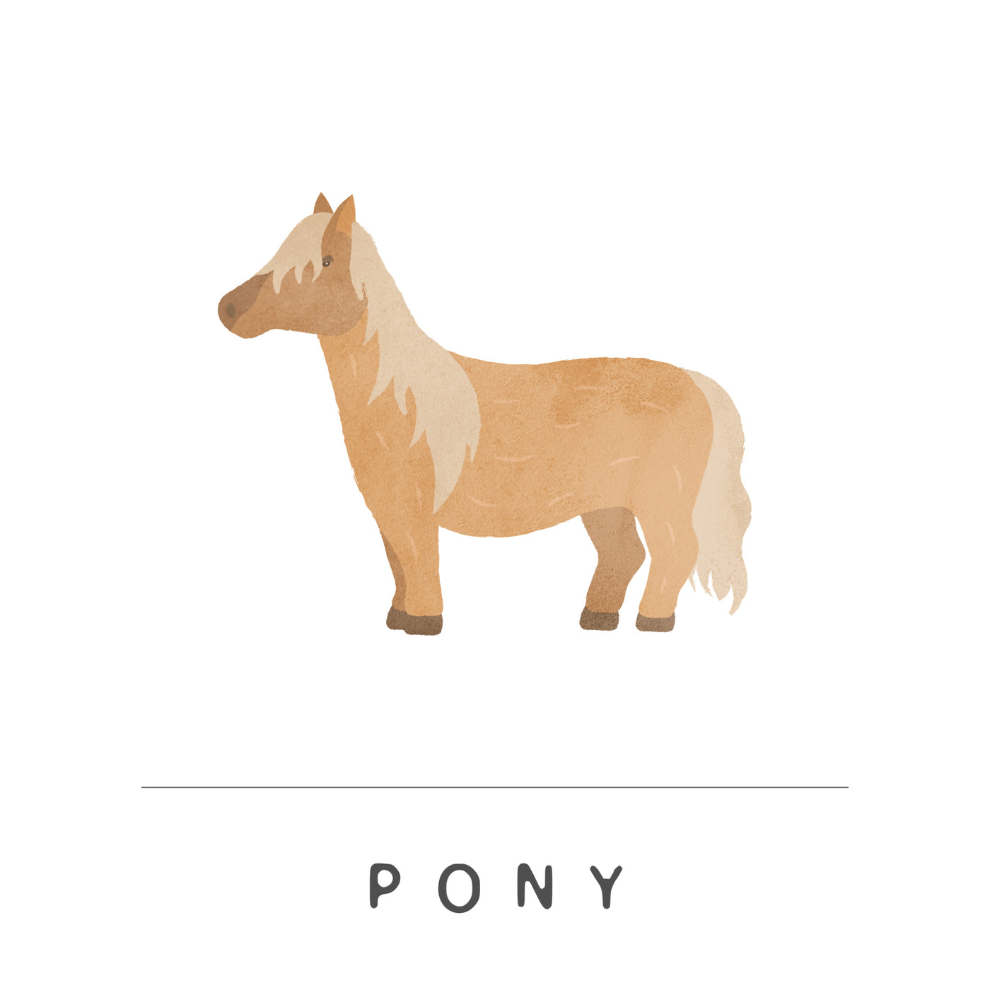 Pony