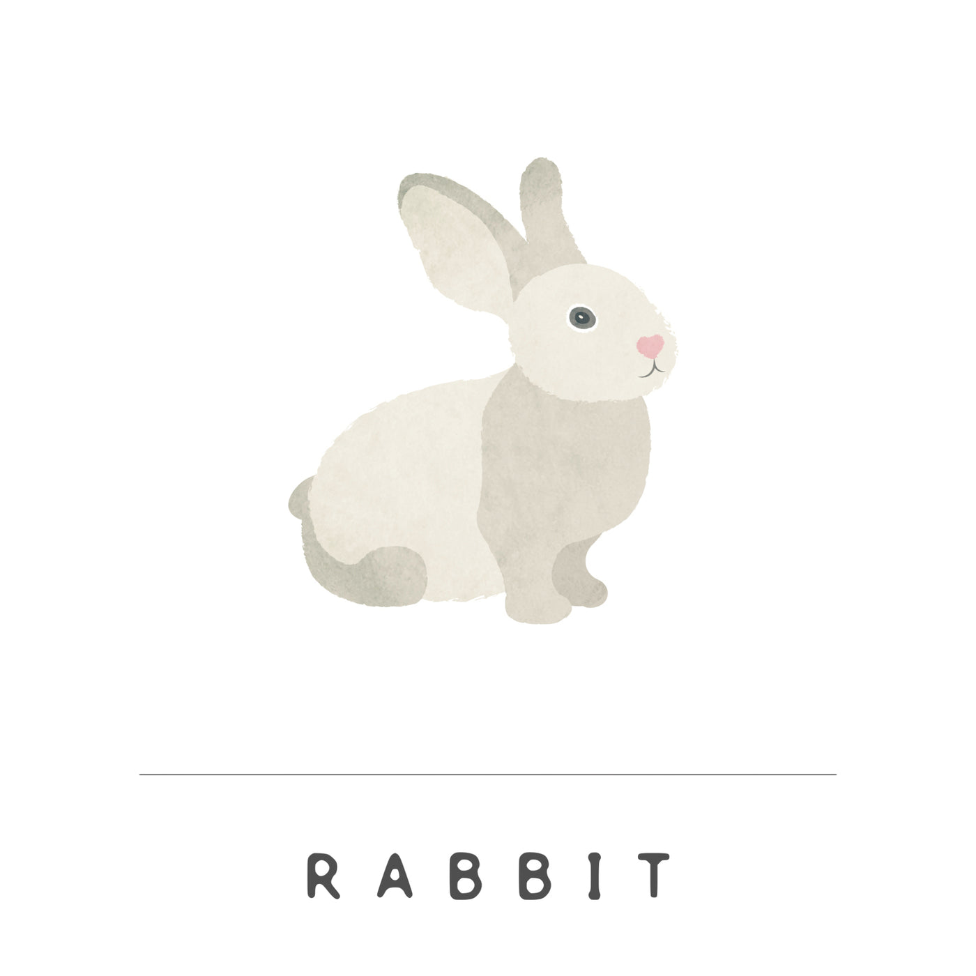 Rabbit