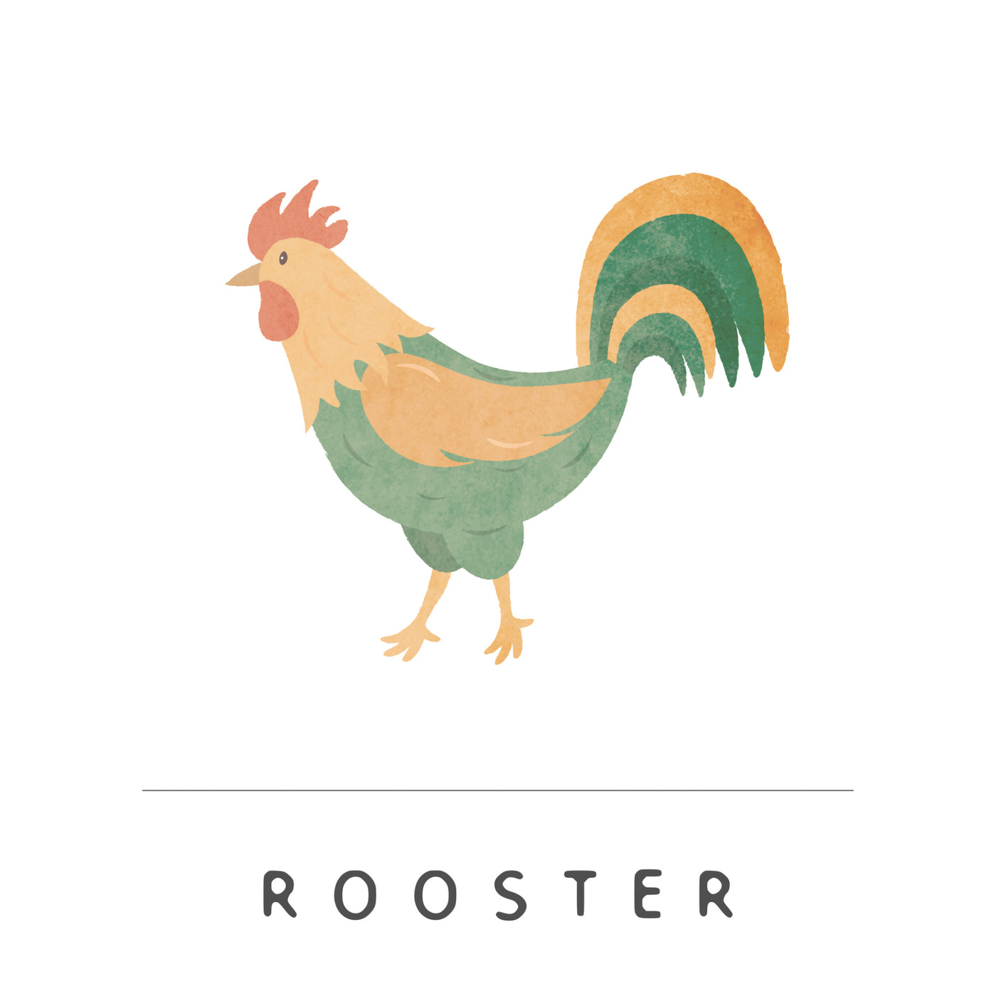 Rooster