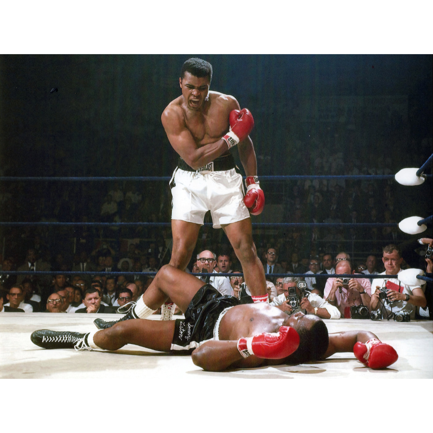 Float Like A Butterfly... You Know The Rest
