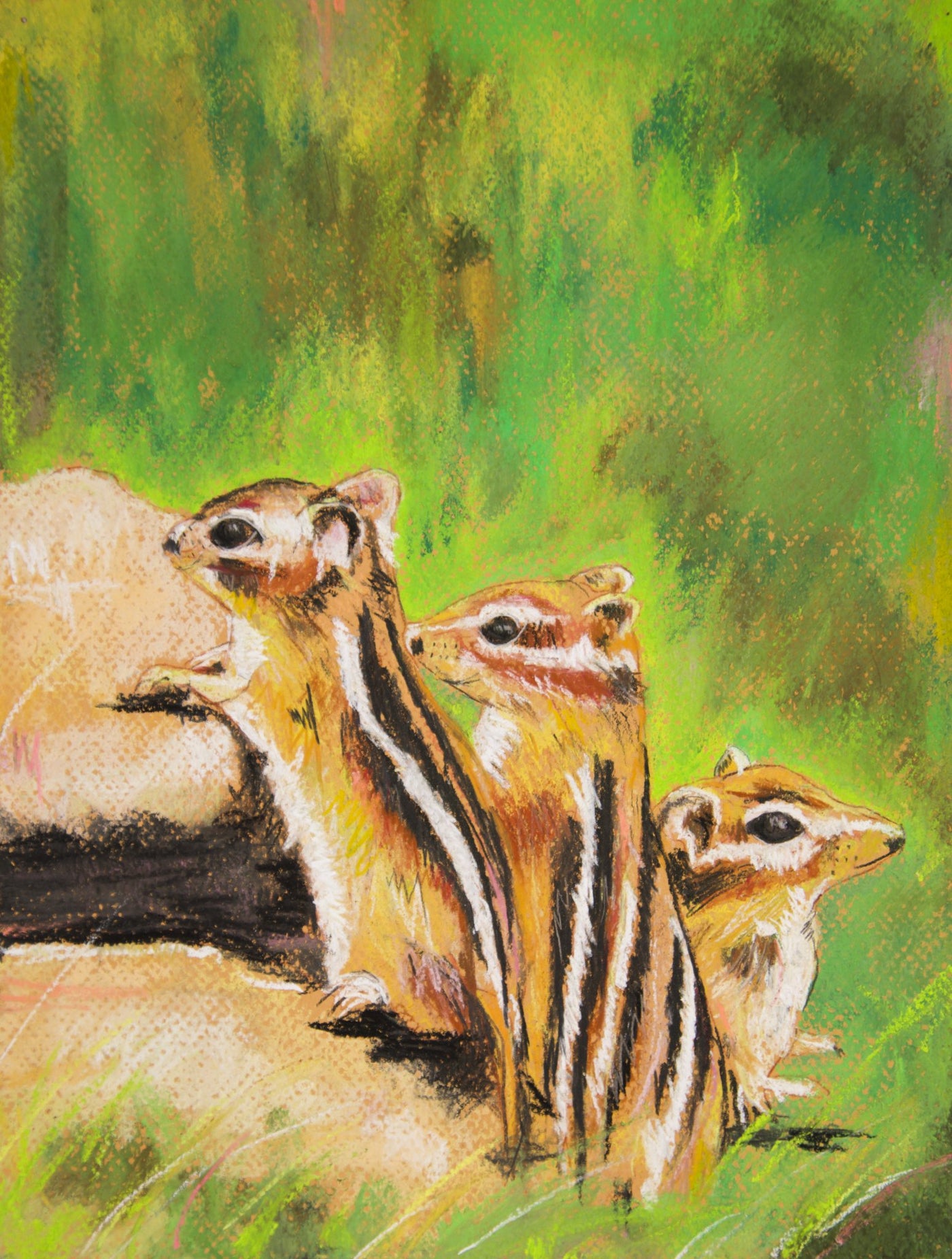 Chipmunks - Alvin, Theodore & Simon