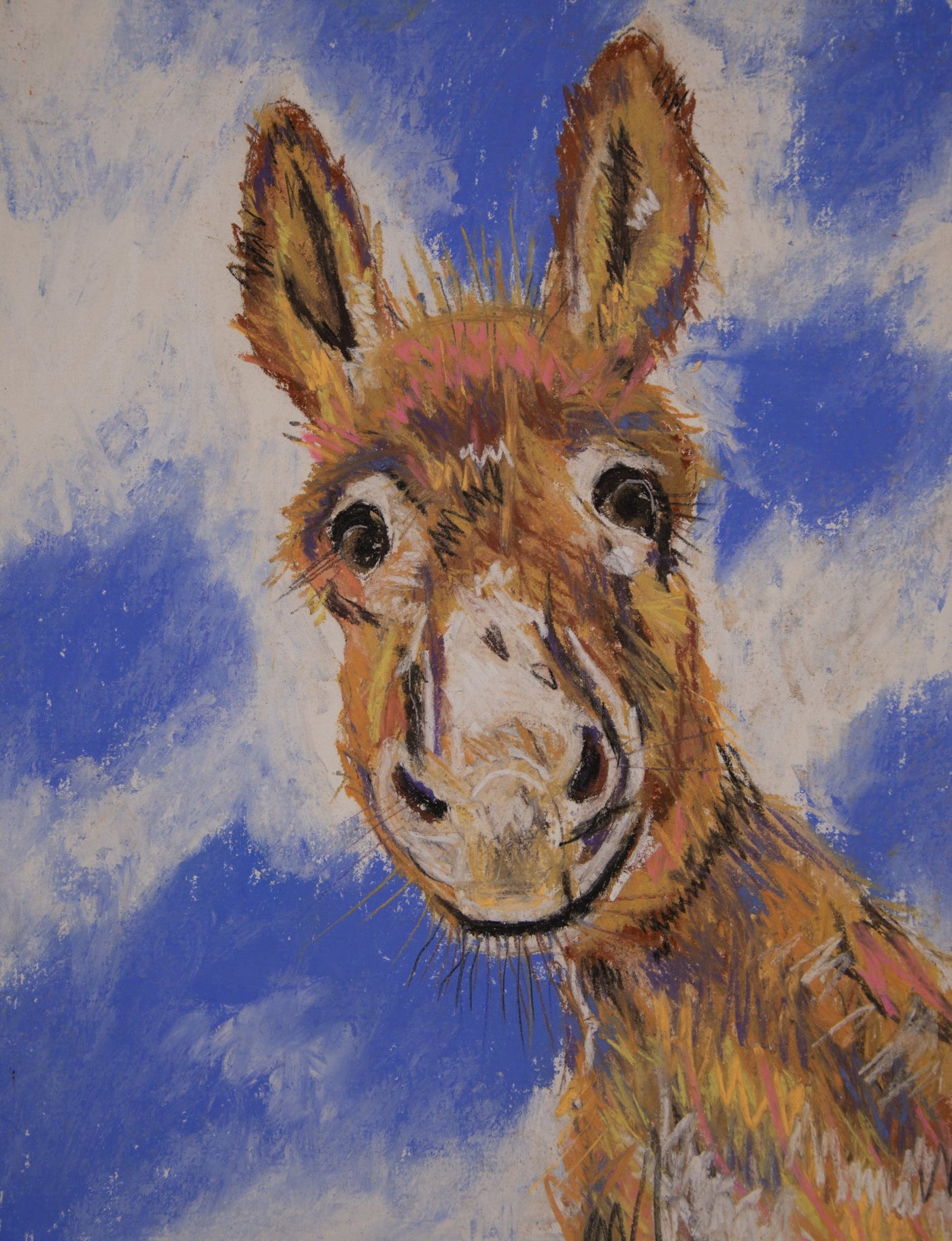 Donkey - Dingo