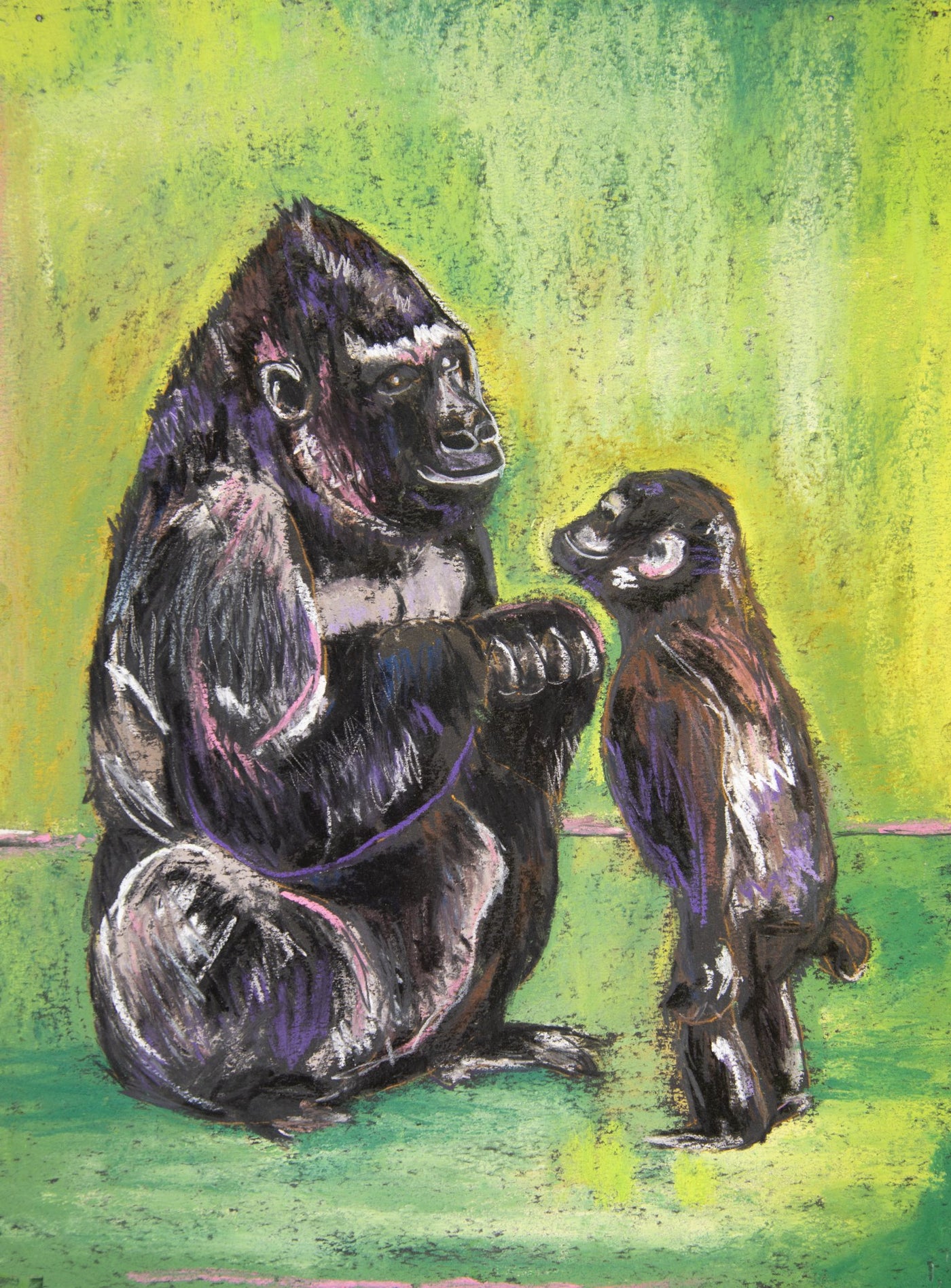 Gorilla - Gracie & Gemma