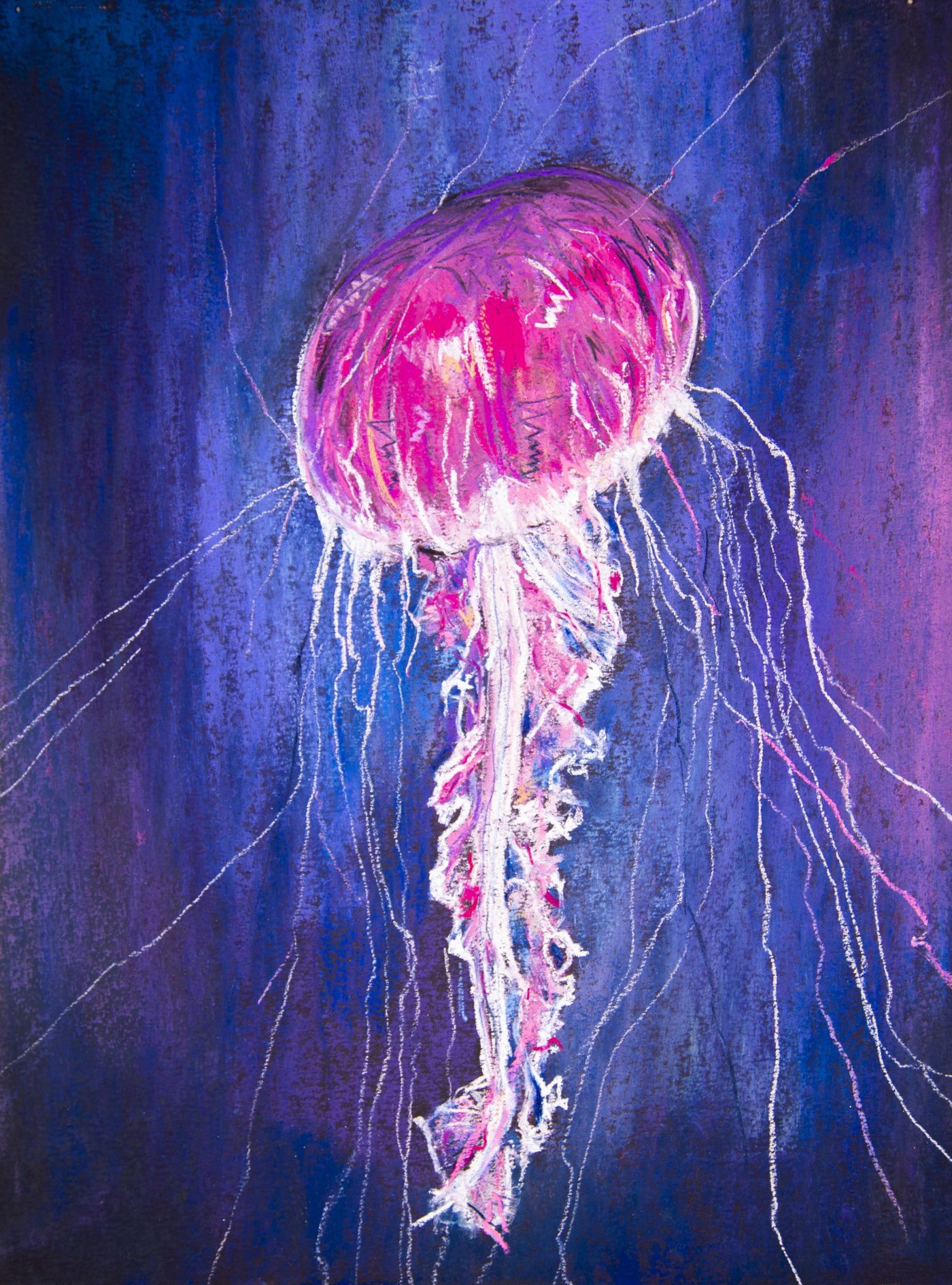 Jellyfish- Jane