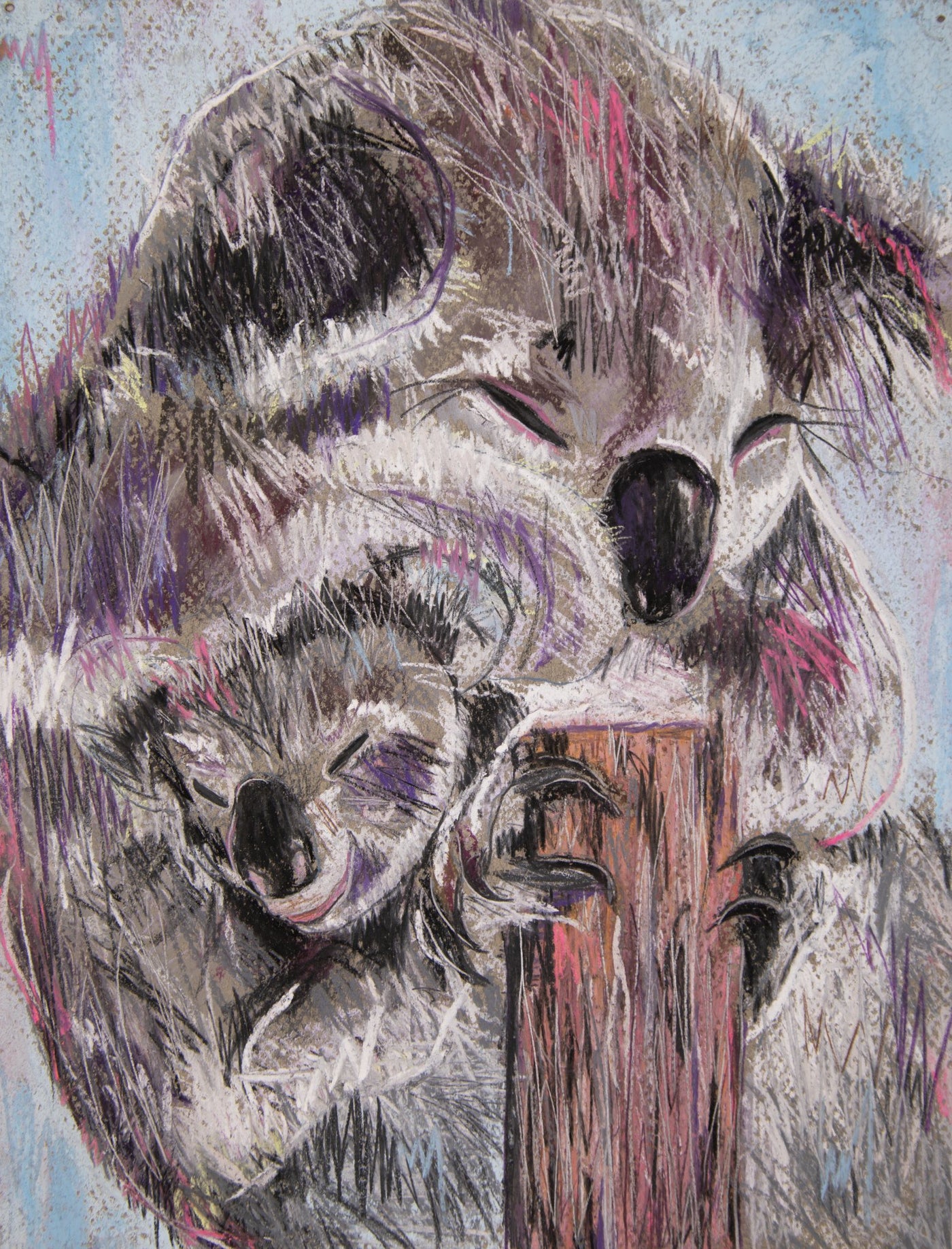 Koala - King & Prince