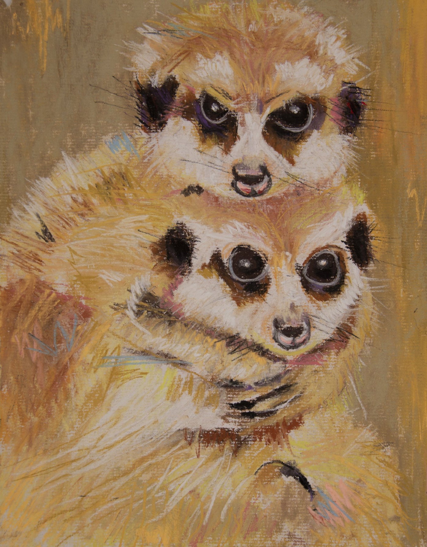 Lemur - Lilly & Leonard