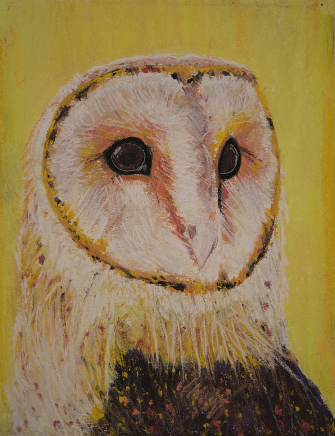 Owl - Oona