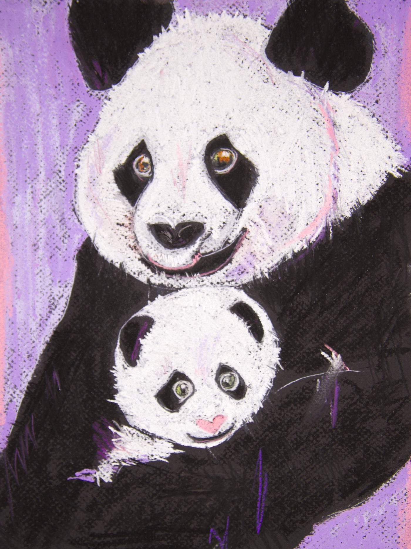 Panda - Phoebe & Paris
