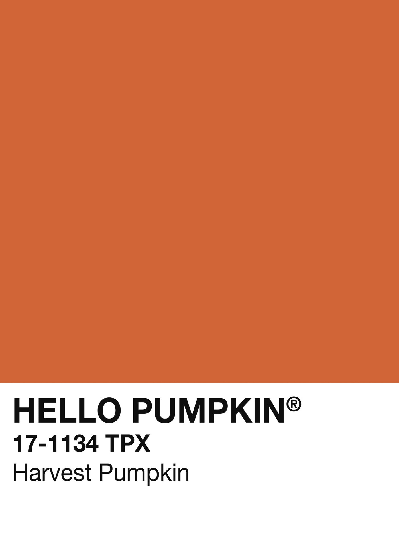 Pantone Hello Pumpkin
