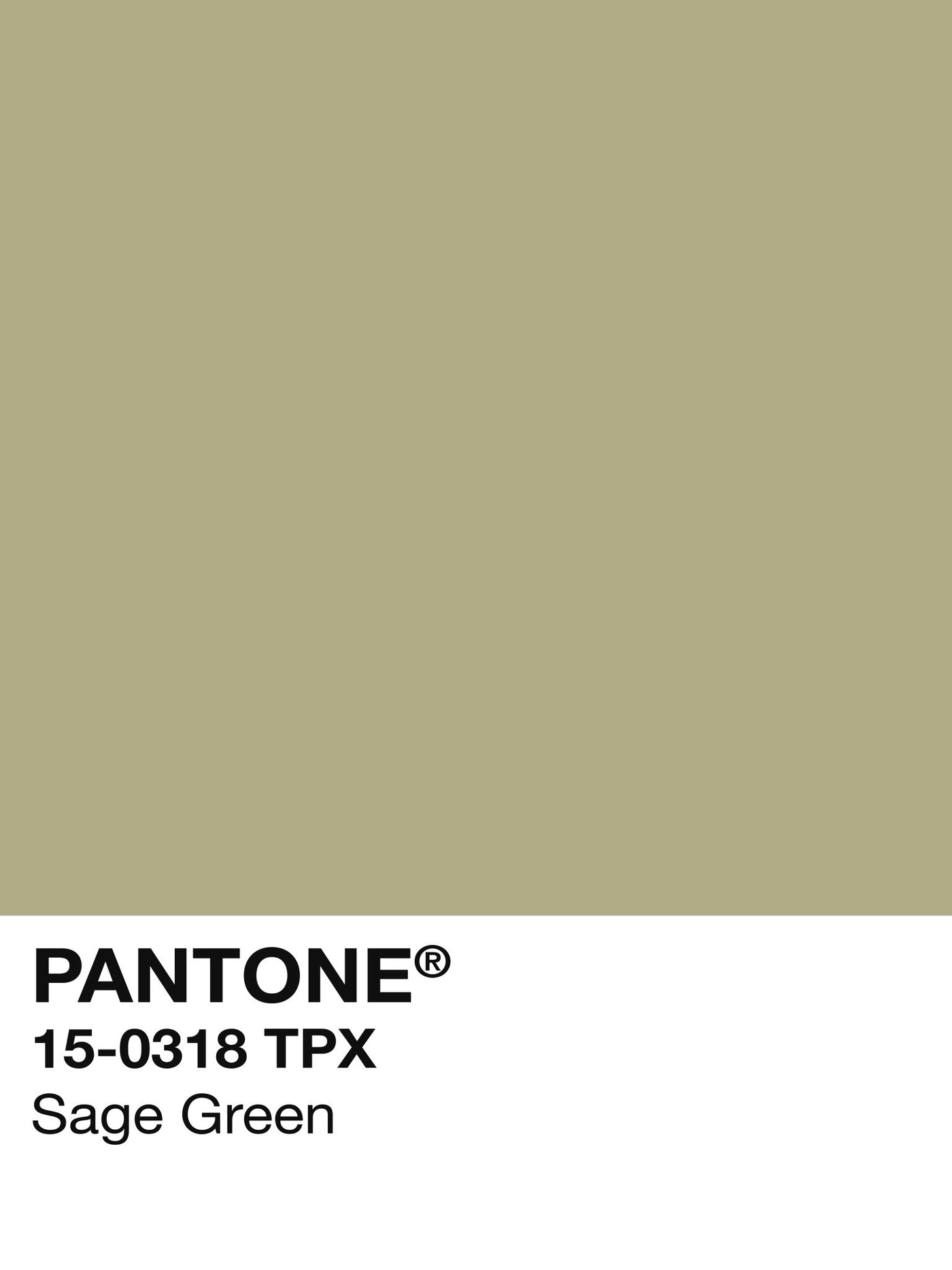 Pantone Sage Green