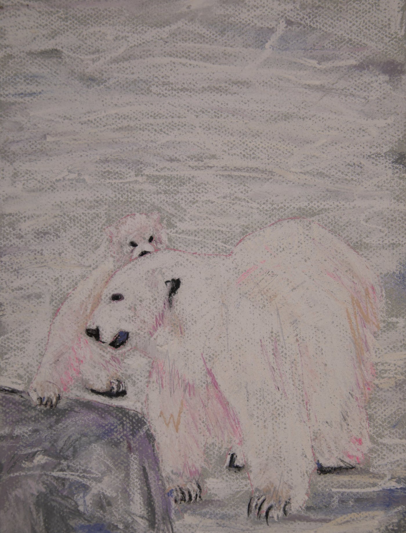 Polar Bear - Pedro & Phoenix