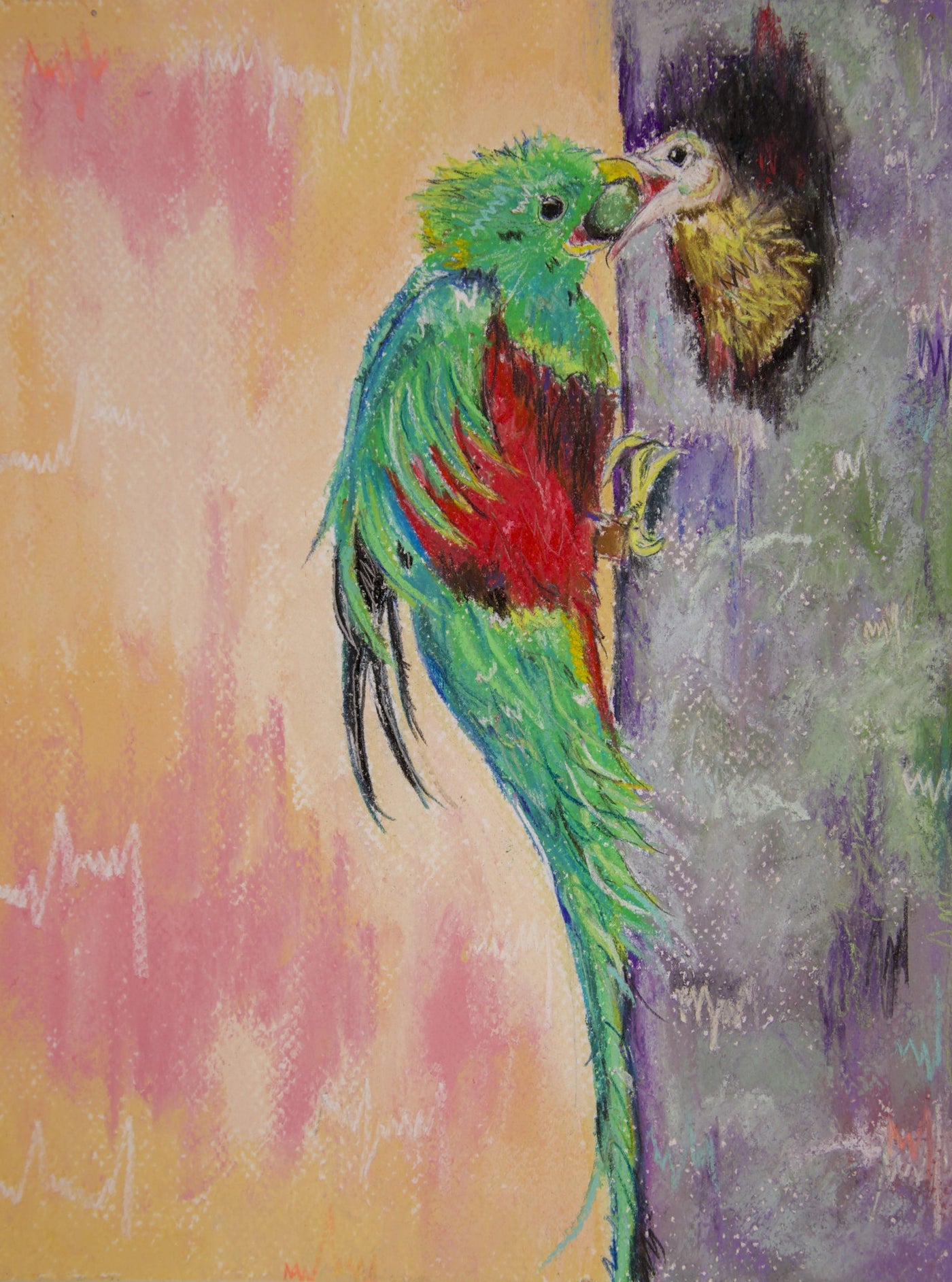 Quetzal - Quincy & Queenie
