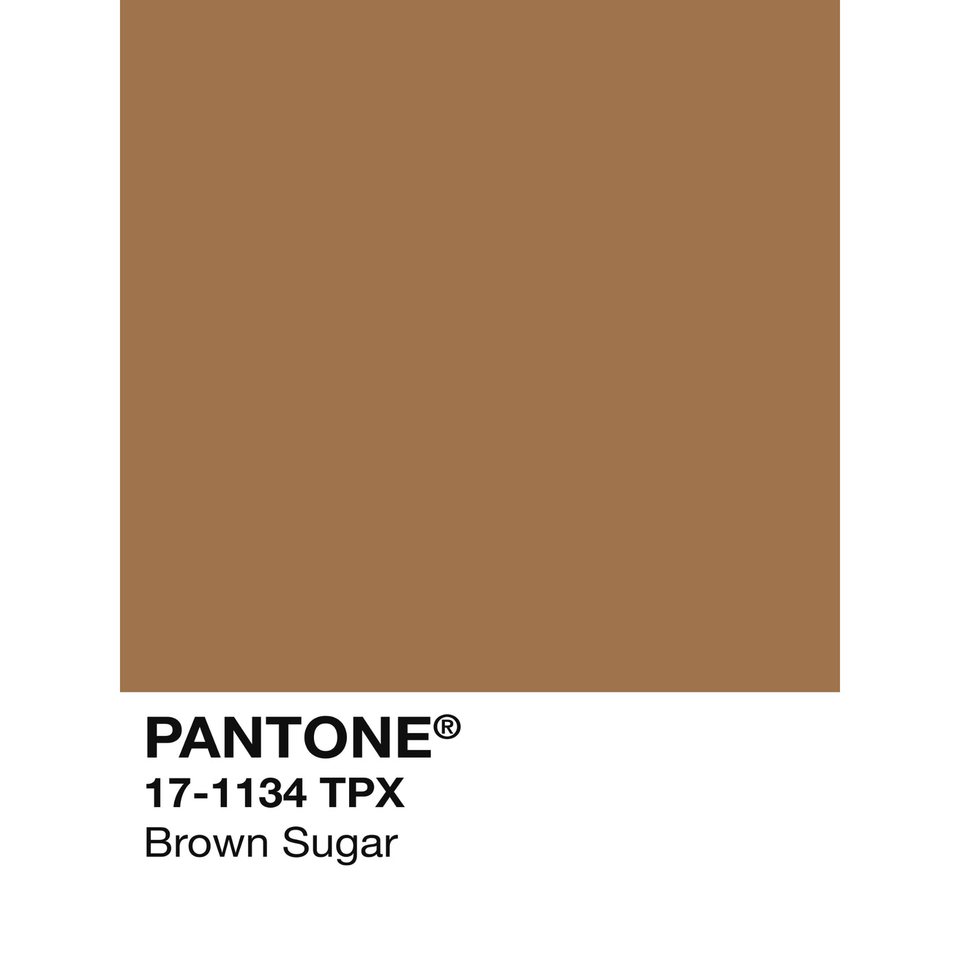Holiday Swatch- Brown Sugar