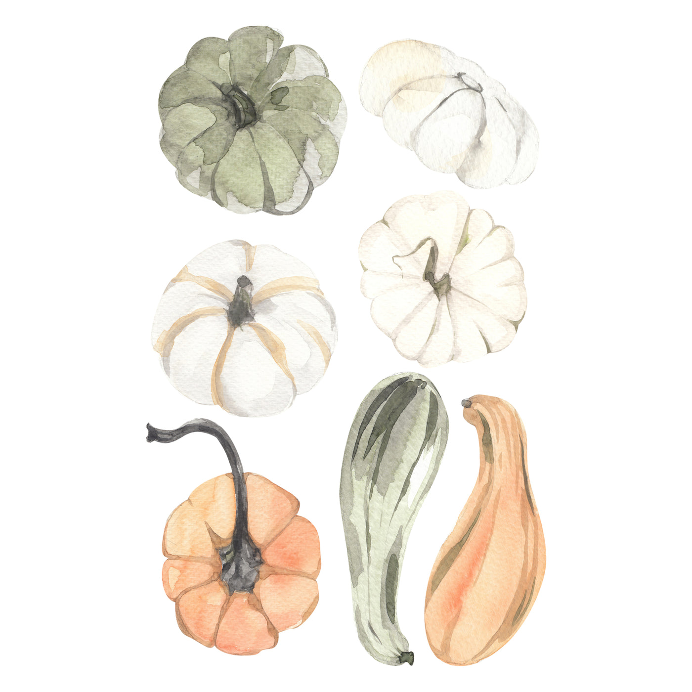 Oh My Gourd