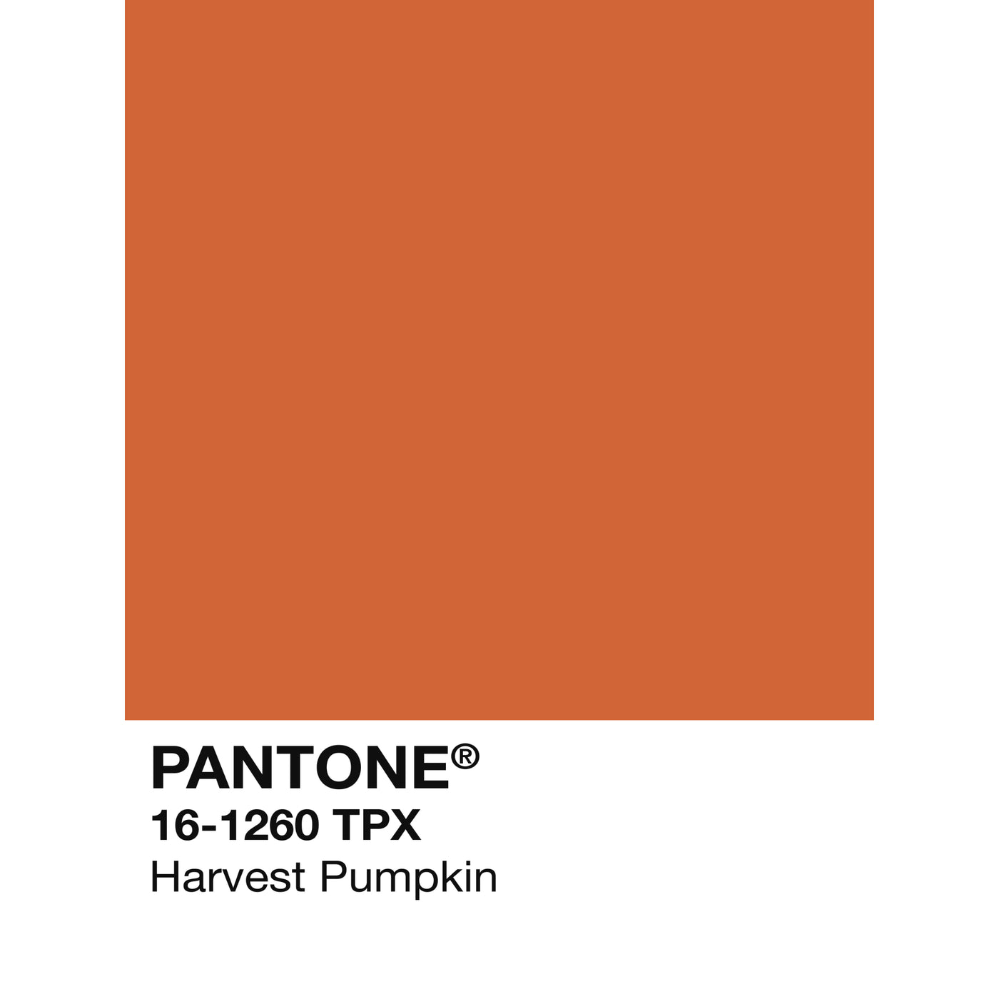 Holiday Swatch- Harvest Pumpkin!
