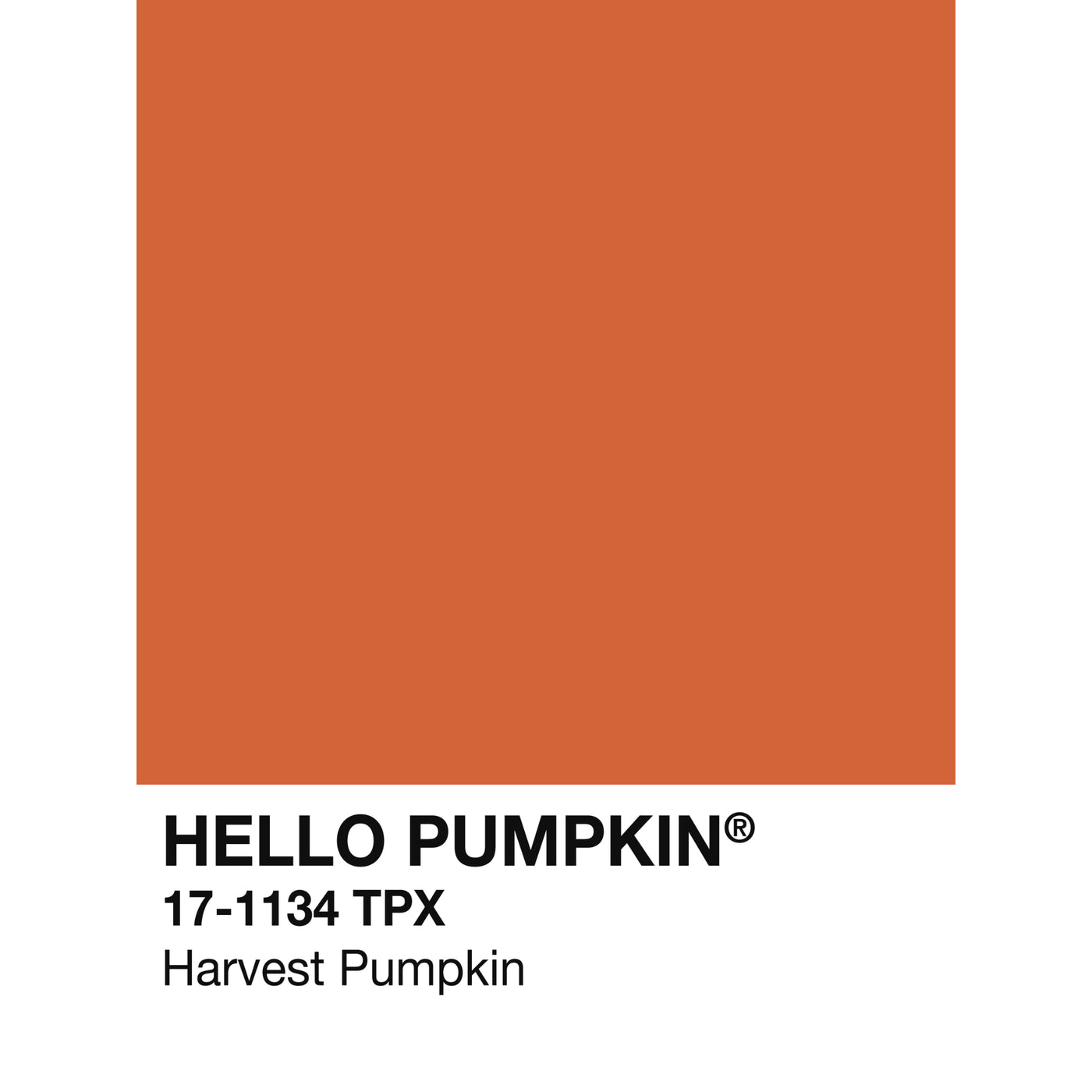 Holiday Swatch- Hello Pumpkin!