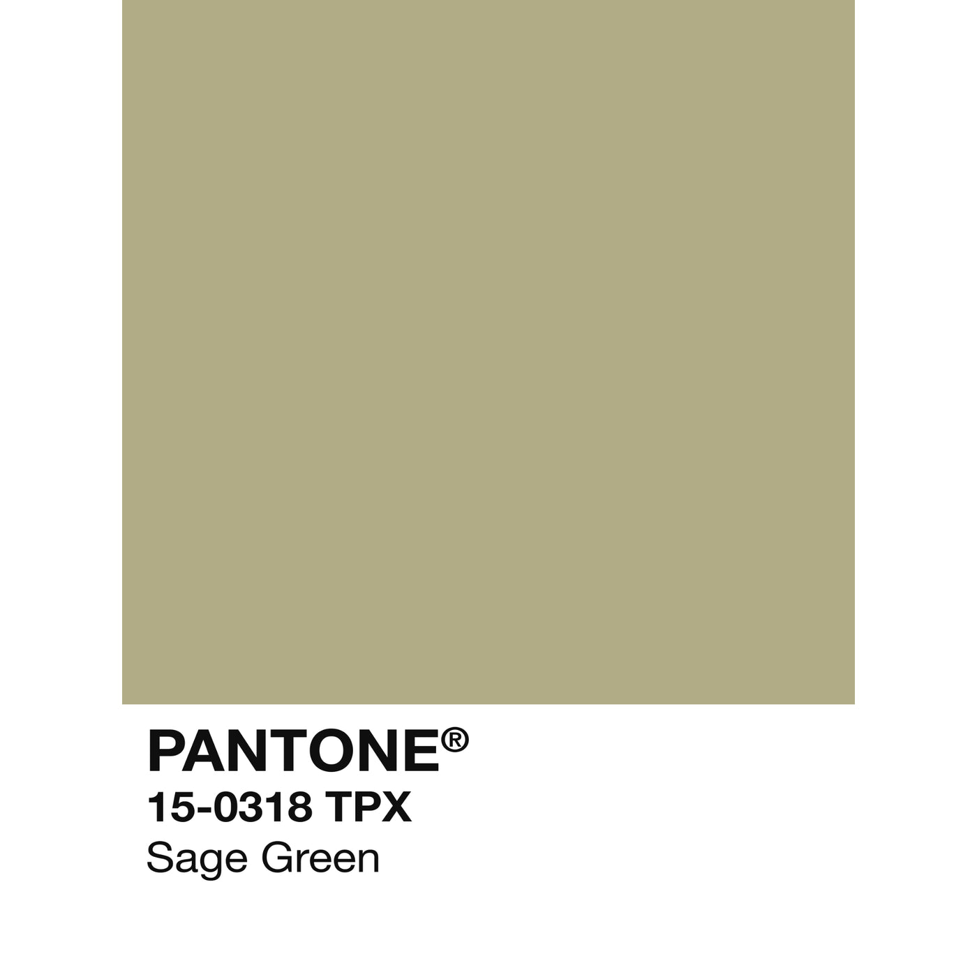 Holiday Swatch- Sage