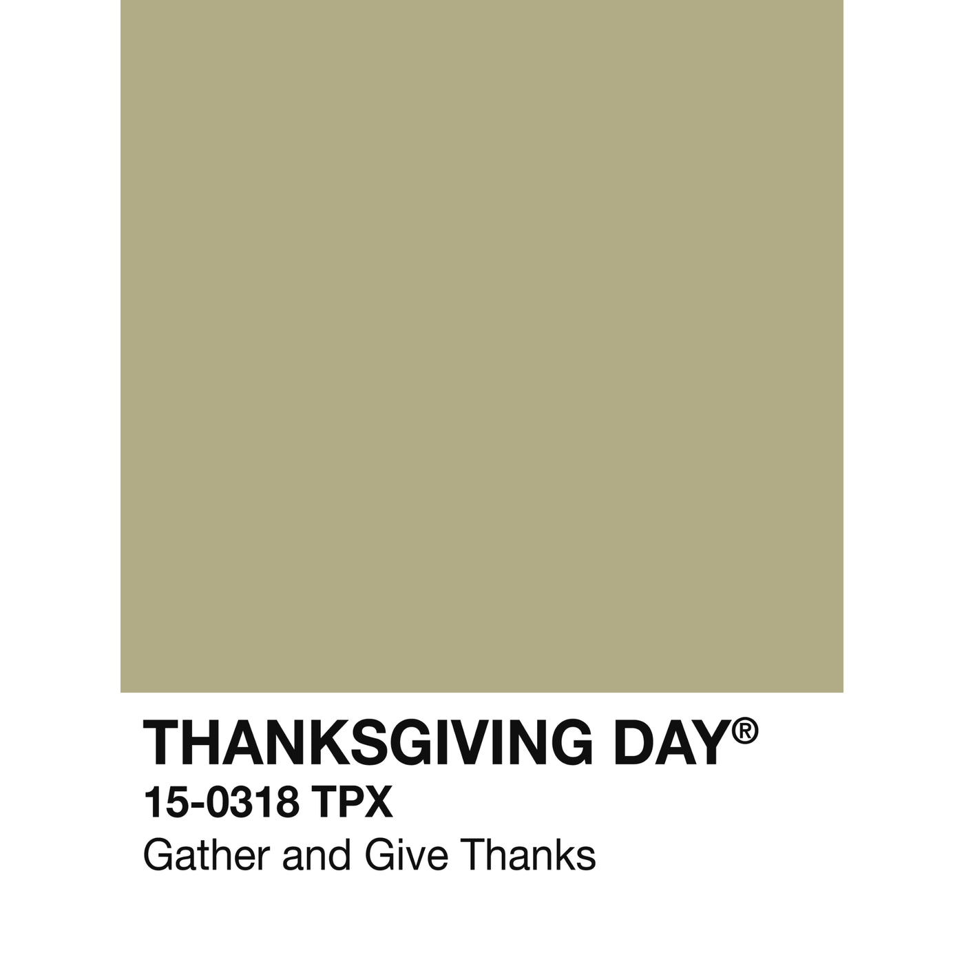 Holiday Swatch- Thanksgiving!