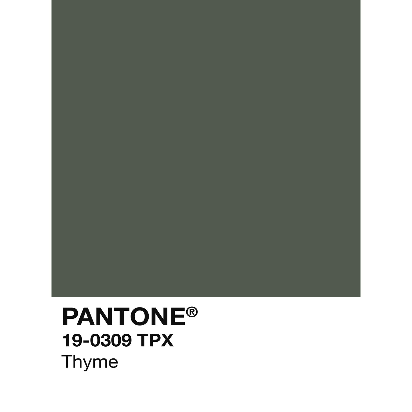 Holiday Swatch- Thyme