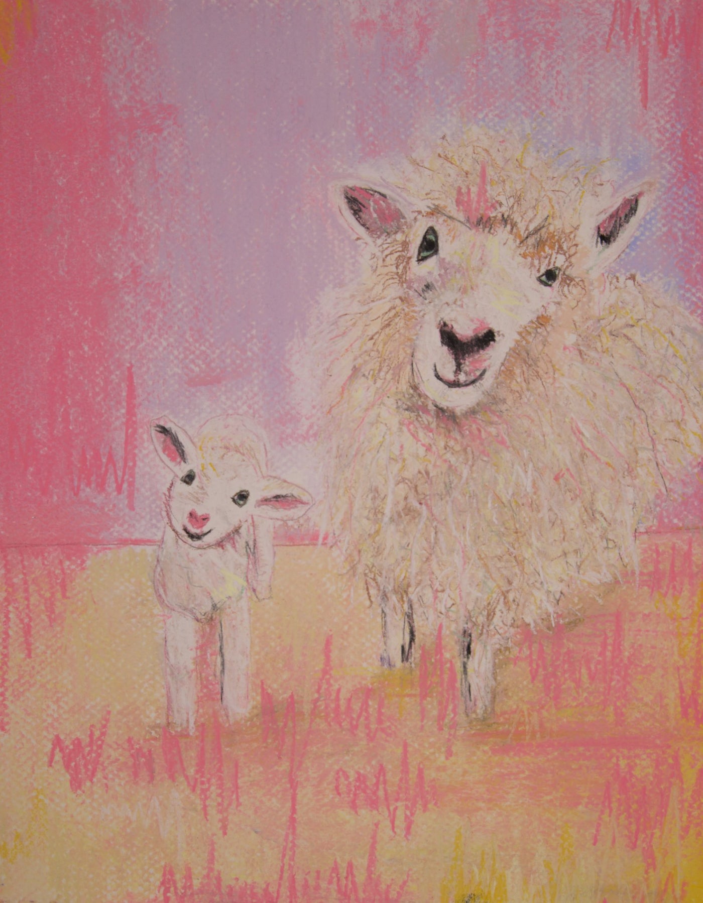 Sheep - Sara & Shelly